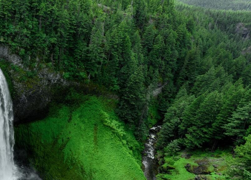 Muller martini machine spare parts 0881.0197.4, 1550.3023.3,1550.3060.2